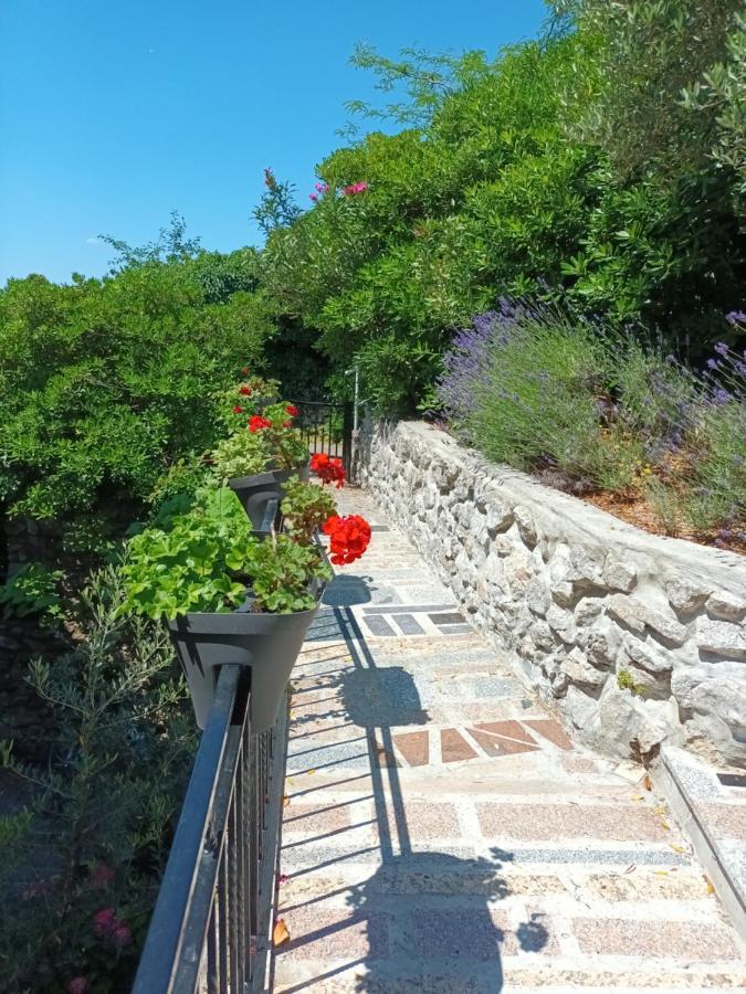 Apartamento Sea & Honey Krk Town Exterior foto